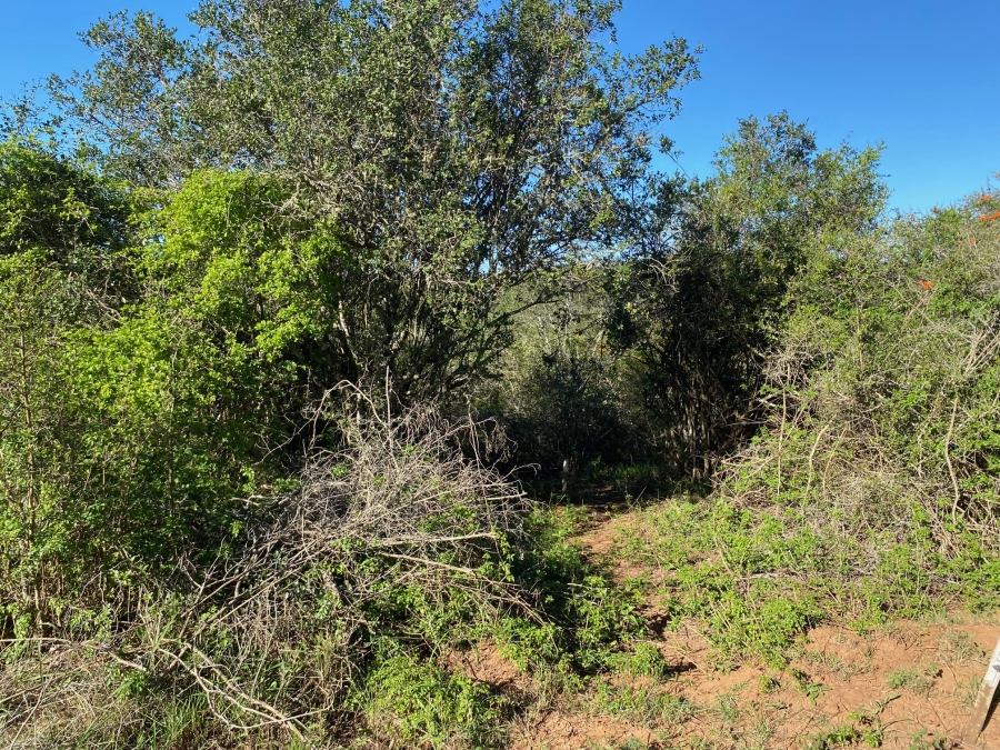 0 Bedroom Property for Sale in Bathurst Eastern Cape